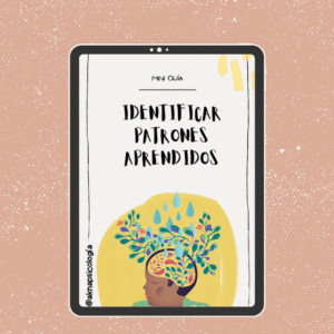 Mini guía - Identificar patrones aprendidos